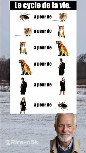 #humour #humourfrancais #blagues #blaguesdroles #drole #rire #mdr #lol #humour2026 #videodrole