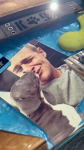 Honoring the life of Dre with this special epoxy memorabilia board. 🐾🌈 Saying goodbye is never easy, but we hope this piece serves as a lasting tribute to the love and joy Dre brought to his family. May he run free across the rainbow bridge, forever in their hearts. ❤️ Made with @superclearepoxy @eyecandypigments @exotherm_designs @starbondadhesives #RainbowBridge #PetMemorial #EpoxyArt #ForeverInOurHearts #HandmadeWithLove | cfwoodworksllc