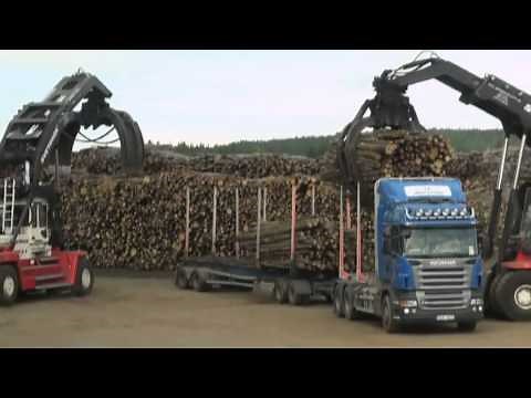 Proceso del transporte de madera