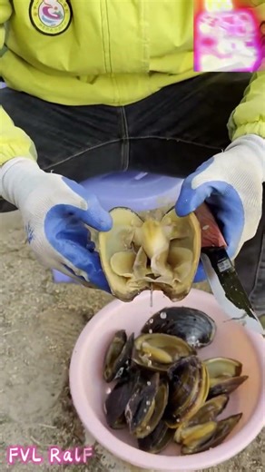 Pearl picking of Hyriopsis cumingii
