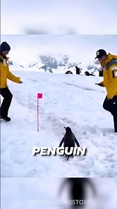 Wild Animal Moments Caught on Camera