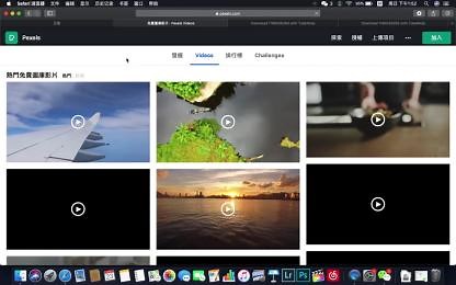 pexel网站视频下载方法