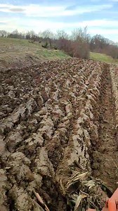 123K views · 439 reactions | Imt 555s Imt plug 755-756 prepravljen Donji Dubovik. | TRAKTORI . HR | Facebook