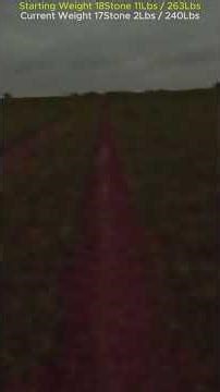 Overweight And Running Every Day