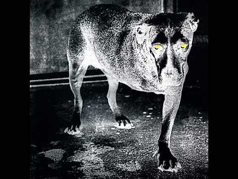 Alice in Chains Rare 1995 Interview