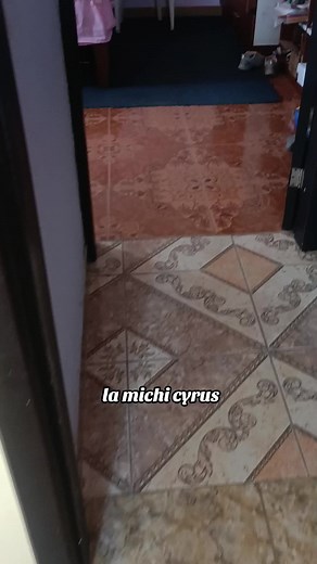 La Michi Cyrus: Hilarious Cat Version of Miley Cyrus