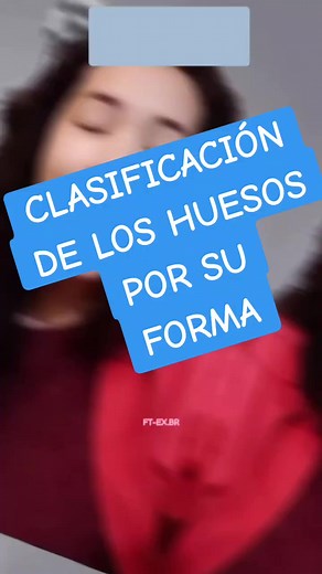 📌 CUAL ES LA CLASIFICACIÓN DE LOS HUESOS? ➡️ Según su forma . . . #fisioterapia #huesos #huesos #anatomia #sistemaoseo #formacioninteriorosea #celulasdelhueso #salud #estudiodelsistemaoseo #funcion #osteona #osteocito #histologia #histologiaosea ##esqueleto #funciondelesqueleto #clasificaciondeloshuesos #formadeloshuesos #estructuradeloshuesos #tejidooseo #clasificaciondeloshuesos #huesoslargos #huesoscortos #huesosirregulares #huesosplanos #huesossesamoideos