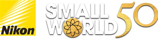 Nikon’s 50th Small World Photomicrography Competition