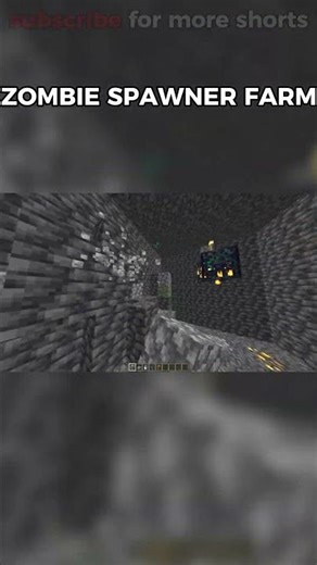 Minecraft Spawner Farm🤔