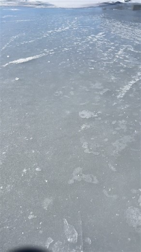 🧊 ICE ASMR #icefishing | Coots Lures