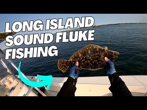 Fluke fishing in Long Island Sound (Plus Stripers!)