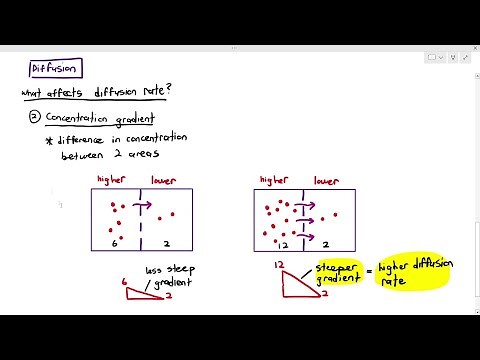 4-6 Factors Affecting Diffusion Rate (Cambridge AS & A Level Biology, 9700)