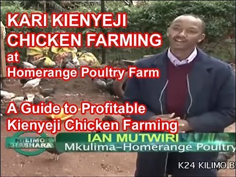 Kari Improved Kienyeji Chicken Farming by Homerange Poultry Kenya Narrated by Ian Mutwiri