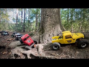 757 RC Crawler Crew at Ipswich Part 1