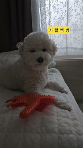 가스 사고 충격 현장