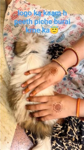 Burai bahut krte hain 😂 #funny #funnymemes #comedyclub #ytviral #shortvideo