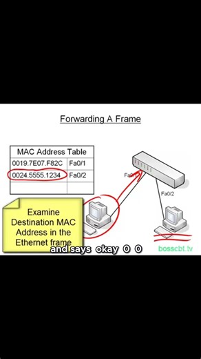 Watch a Switch Forward a Frame in Real Time!