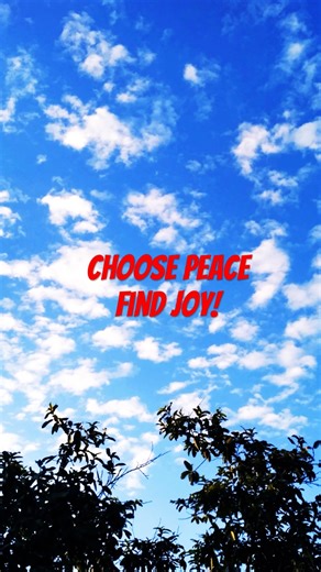 Choose Peace, Find Joy | Proverbs 12:20 Explained #Peace #ChristianMotivation #jesus #jesuslovesyou