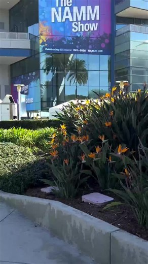 Tagima USA on Instagram: "This guy is fantastic! Cacau Santos is a renowned Gospel guitarist with over 25 years of career, recognized for his virtuosity, versatility, and deep mastery of the instrument. He has performed at major festivals in Brazil and abroad, such as the Montreux Jazz Festival, and toured across Europe and the United States, moving seamlessly between instrumental music, regional styles, Pop, Rock, and Black Music. Cacau will be at our booth showing the event audience why he is