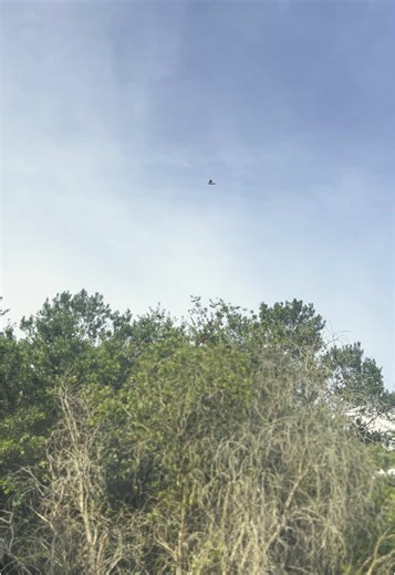 Paranoid_android (@paran0id_andr0id)’s videos with Nina Field of Cops - Cameron Winter