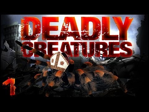 Deadly Creatures (Wii) | #1 | The Tarantula God.