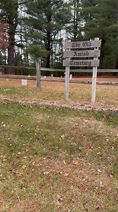 This small roadside cemetery is easy to miss when driving through this area. Unusual to find Amish in Midland but at one time there was a small settlement and this cemetery is pretty much all that is left of it. #pastpreservation #history #amish | Past Preservation