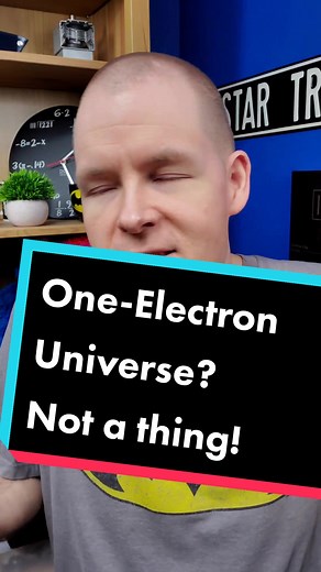 Understanding the One Electron Universe Theory