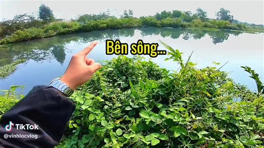 Video của cute (@damate249) với bản nhạc nhạc nền - khiem dep trai - cute