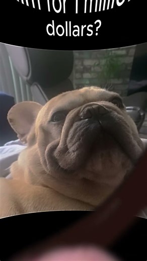 sub to save james leo