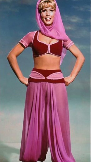 What I Learned from I Dream of Jeannie by Susan Rich