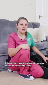 What can you do to help your pet when they’re scared of fireworks? 🎆 With summer wedding season happening right now, your furry friend may have heard some fireworks displays in the distance, and you may have spotted that they didn’t like the loud noises too much 😔 And since New Year is only a few months away, now is the ideal time to start teaching them that firework noises aren’t all that frightening. This is done using a training technique called Fireworks Desensitisation. Here is PDSA Vet, 