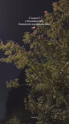 @1o.o3.28_s | S❤️‍🩹 | Instagram