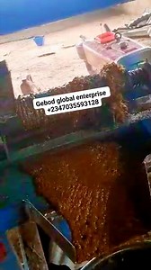 AUTOMATIC PALM KERNEL DIGESTER AND PRESSING MACHINE. PALM OIL PROCESSING. WE FABRICATE ALL AGRICULTURAL PROCESSING MACHINES. Lagos Nigeria Call/WhatsApp+2347035593128 #localfabricatedmachines #palmoilprocessing #agriculturalmachinery #palmoil #PalmOilIndustry # | Agricultural processing machines | Facebook