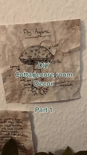 Part 1, I hope you like it :) #cottagecore #fairycore #goblincore #cottagecoreaesthetic #fyp #diy #roomdecor