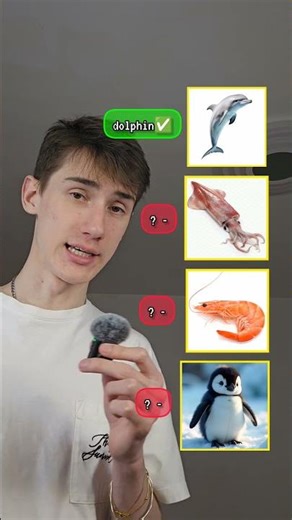 Little animals in English🐧 &4 #milan #littleanimals #english #shorts #ytshorts