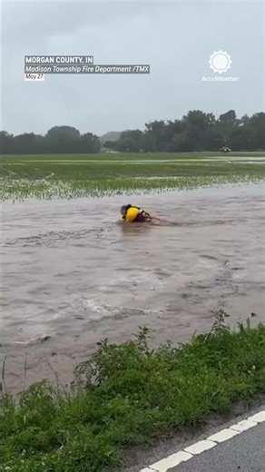 Firefighter Rescues Baby Deer Swept Away By Floodwaters