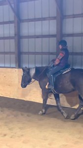 10K views · 712 reactions | My First Canter On Tiana!!!  | Free Spirit Equestrian | Facebook