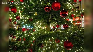 60K views · 453 reactions | Merry Christmas! Here are some of the most spectacular Christmas trees from all over the world. | Yahoo News | Facebook