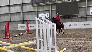 And here’s the SJ part of Stash’s outing - he’s done very little jumping but is honest and pretty straight/cool - doing so well indoors too. 4yo (rising 5) 15.3hh-ish Falkirk gelding. I sold his half-brother (same dam) as an eventer and think this guy should follow suit. 6️⃣5️⃣0️⃣💰 GST. | EventStars Ltd