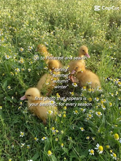 Kenzie (@mckenziemckesson1)’s videos with original sound - Kenzie