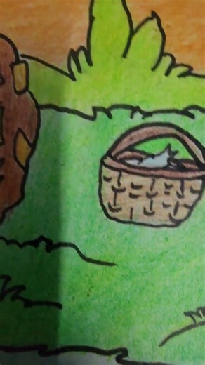 turtle 🐢#drawing#