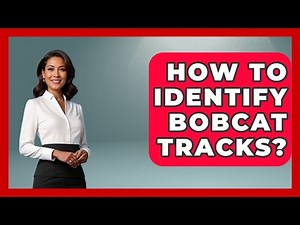 How To Identify Bobcat Tracks? - The Hiker's Advice