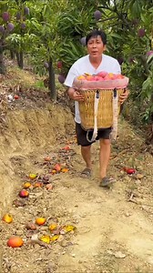 1.8K views · 1K reactions | Very Costly Mango, . . #hobbyfarming #giftideas #amazingcars247 #allegoryhometools #intags #tools #plumbingtools #outfitideas #amazingphil #conceptart #concept #weddingideas #cuttingtools #orquidea #farmingphotographydaily #brideandgroom #amazingmetapod #amazingview #mealideas #theamazingspiderman #amazingdress #ideas #amazingproducts #slimmingworldideas #makeupideas #amazingproduct #farming #tattooideas #hairideas #amazing | Shahid Azmi | Facebook