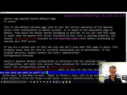 /etc/hosts for Local Domains in Linux