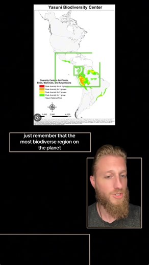 The ancient Maya built mathematical equations in stone. Chichen Itza represents a three-dimensional manifestation of harmonic principles that transform sound waves into architectural form. The El Castillo pyramid’s 365 steps encode specific frequency ratios creating resonant chambers within the structure. When we analyze these frequencies through cymatics, patterns emerge that mirror the geometric proportions found throughout the architecture. The distinctive chirping echo produced by a handclap