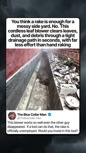 THE LEAF BLOWER THAT REPLACED THE RAKE