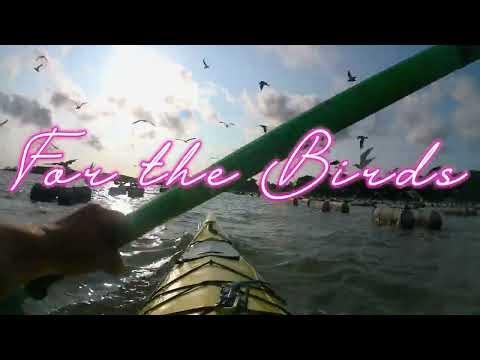 Through the Flock: A Peaceful 4K Sunrise Kayak Journey