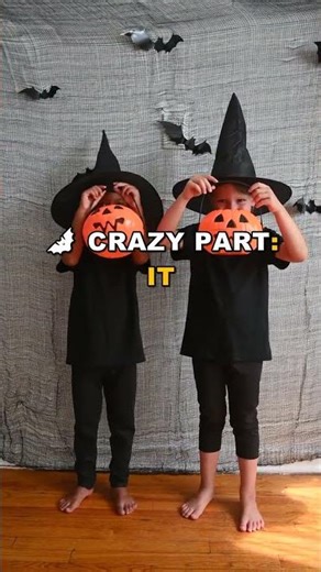 The Longest Flying Journey by a Fruit Bat