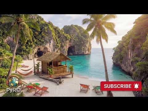 PyRO - COFFEE LIVE, RELAXING & REGGAE ☕ | ROOTS & CALM