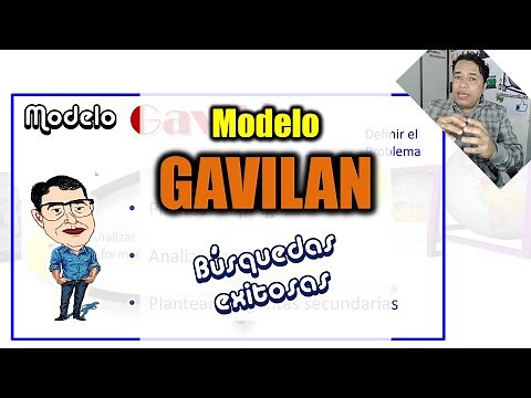 ¿Qué es el Modelo GAVILAN?